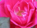 IMG_1881.jpg
