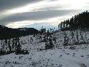 IMG_0481.jpg