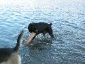 107-0759_IMG.jpg