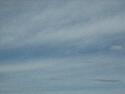 IMG_1070.jpg