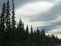 IMG_1077.jpg