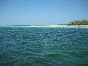 IMG_0120.jpg