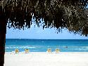 IMG_0753.jpg