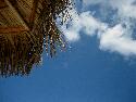 IMG_0899.jpg