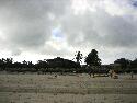 IMG_0942.jpg