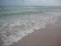 waves_T.jpg