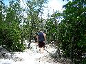 IMG_0796.jpg