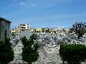 IMG_2196.jpg