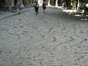 IMG_2236.jpg