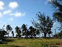 IMG_0765.jpg