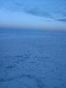 IMG_0612.jpg