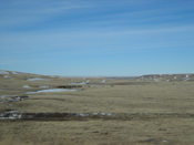 regina_2006.jpg