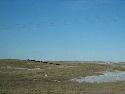 IMG_0235.jpg