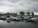 IMG_1380.jpg
