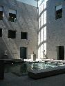 IMG_1428.jpg