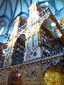 IMG_2982.jpg