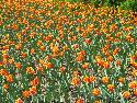 IMG_3051.jpg