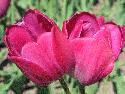 IMG_3193.jpg