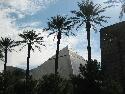 IMG_0650.jpg